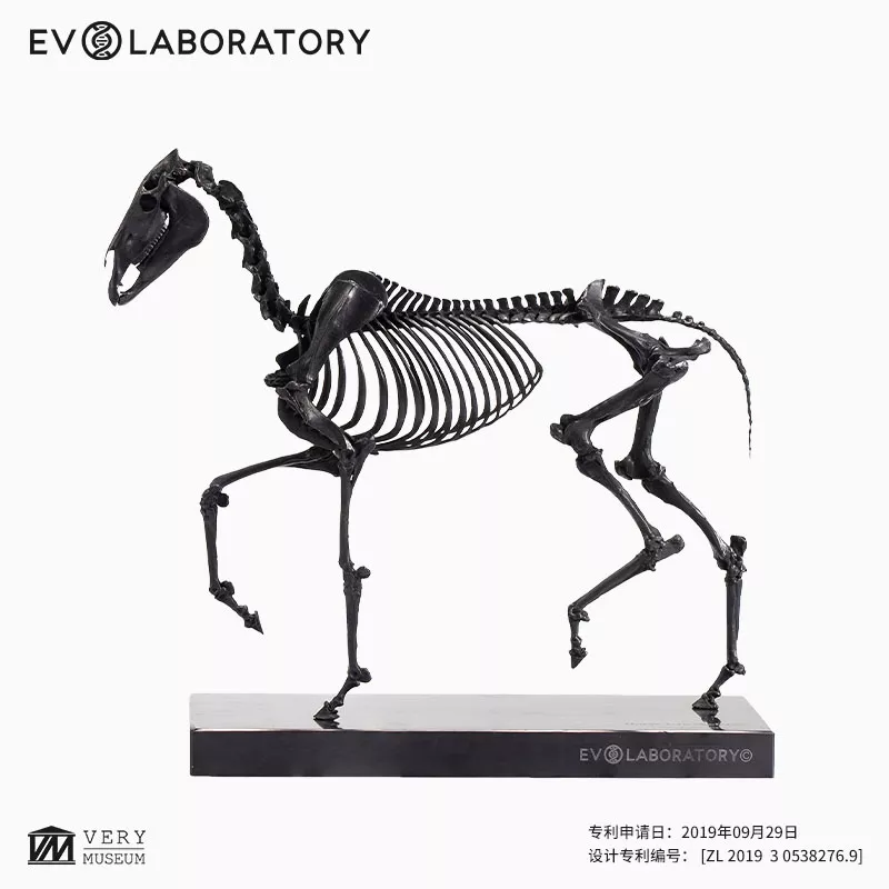 EVO骨骼铜像系列-马骨骼铜像