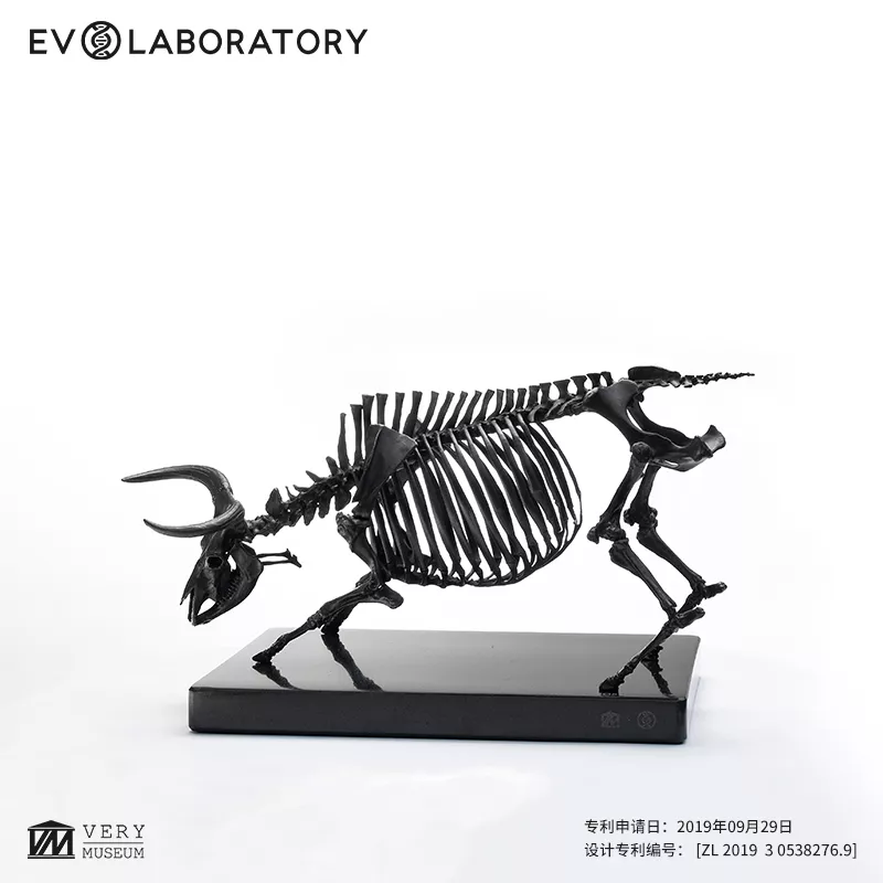 EVO骨骼铜像系列-牛骨骼铜像