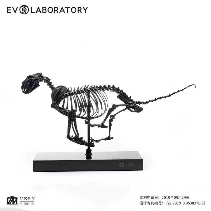 EVO骨骼铜像系列-狮子骨骼铜像